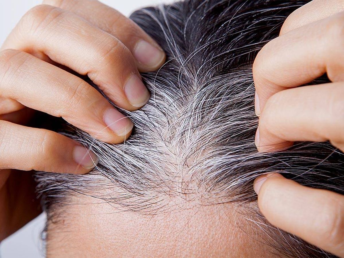 SHAMPOO ANTICANA/Tinte  para Hombres y Mujeres - Teñir tu cabello nunca ha sido tan fácil y rápido