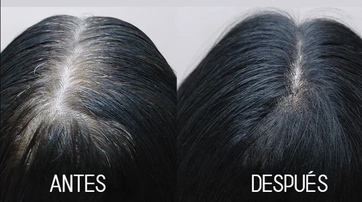 SHAMPOO ANTICANA/Tinte  para Hombres y Mujeres - Teñir tu cabello nunca ha sido tan fácil y rápido